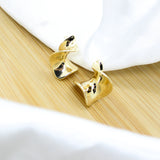 Twisted Flat Earrings - 18k Gold Filled
